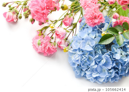 紫陽花とバラ 紫陽花とバラ 105662414