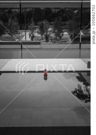 【パートカラー】光と陰【長野県立美術館】 105662702