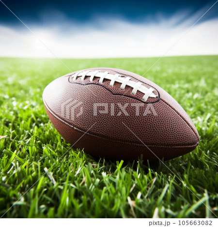 American football ball on green grass 105663082