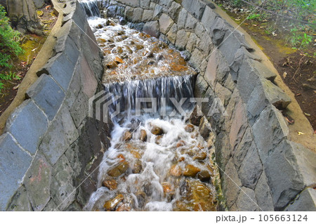 馬橋公園　高円寺　杉並区 105663124