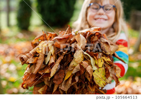 Fall portrait of little preschool girl in autumn park on warm october day with oak and maple leaf. Child with lot of leaves. Family outdoor fun in fall. Kid smiling. Healthy funny child with glasses 105664513