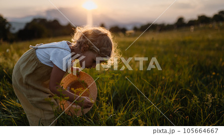 Side view of adorable little girl with straw hat standing in the middle of summer meadow. 105664667