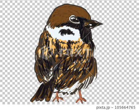 正面麻雀 105664765