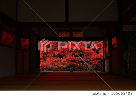 安国寺のドウダンツツジ 105665408
