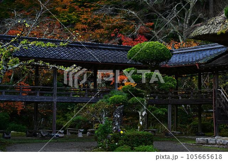 秋の慧日寺 秋の慧日寺 105665618