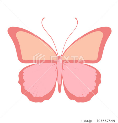 Butterfly isolated on white background. Vector illustration in flat style Butterfly isolated on white background. Vector illustration in flat style 105667349