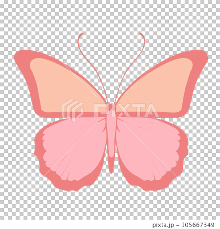 Butterfly isolated on white background. Vector illustration in flat style Butterfly isolated on white background. Vector illustration in flat style 105667349