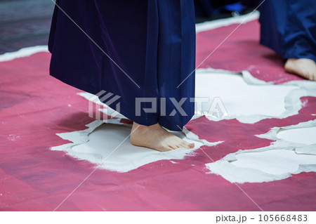 書を楽しむ女性 書を楽しむ女性 105668483