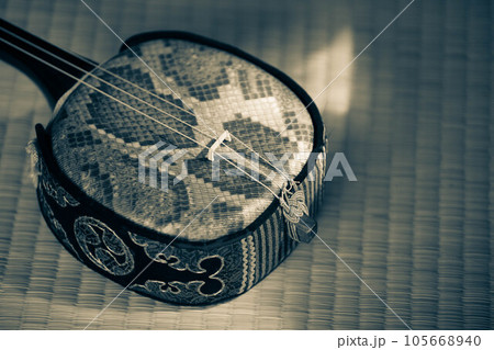 畳の上に置かれた三線 105668940