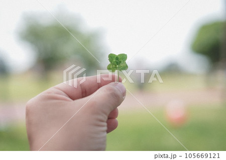 四つ葉のクローバーを持つ手 四つ葉のクローバーを持つ手 105669121
