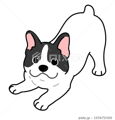 遊びに誘うシンプルで可愛いフレンチブルドッグのイラスト　主線あり 105670300