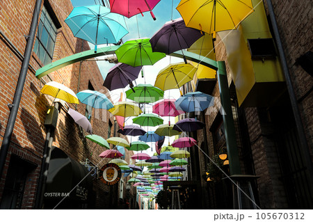 カルフォルニア州ロサンゼルス近郊のアンブレラ通りの街並み カルフォルニア州ロサンゼルス近郊のアンブレラ通りの街並み 105670312