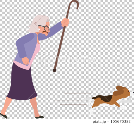 Angry Elderly Woman Determinedly Pursuing Her Energetic Dog. Old Woman Pursuing Her Pet Dog. 105670382