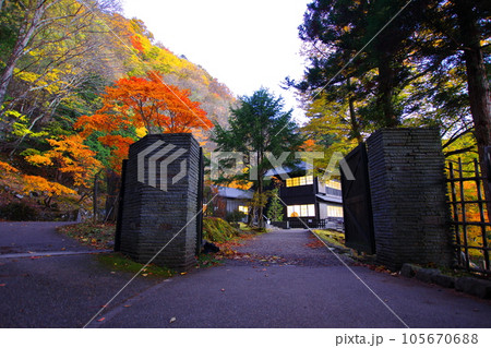 秋の日光 英国大使館別荘記念公園の紅葉/栃木県日光市 秋の日光 英国大使館別荘記念公園の紅葉/栃木県日光市 105670688