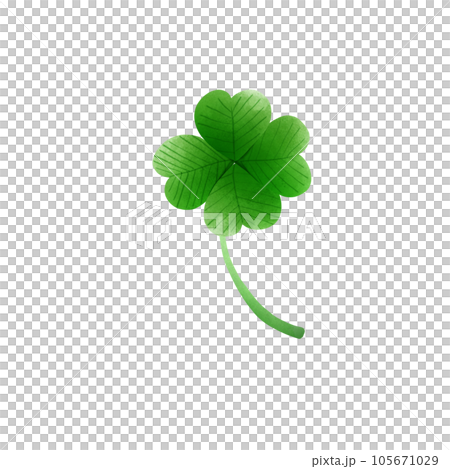 clover icon on white background clover icon on white background 105671029