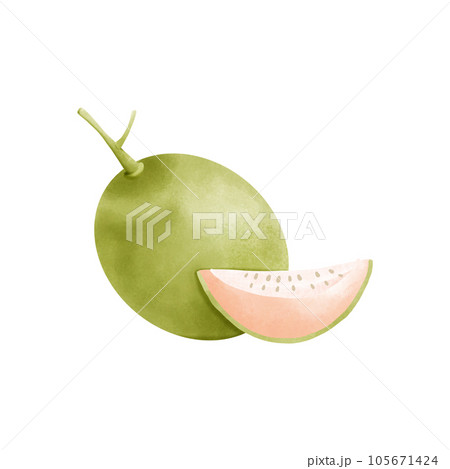 Cantaloupe on white background 105671424