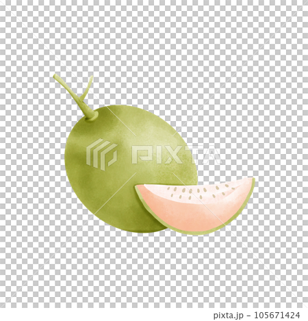 Cantaloupe on white background 105671424