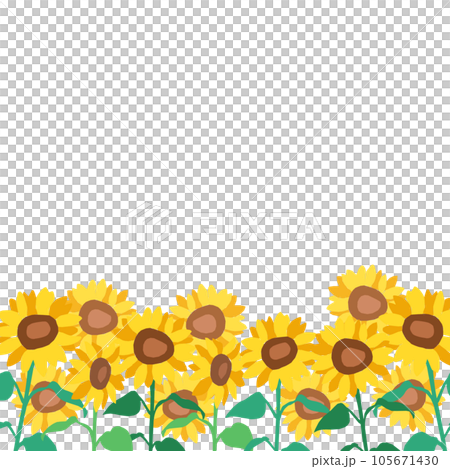 ヒマワリ畑の背景イラスト 105671430