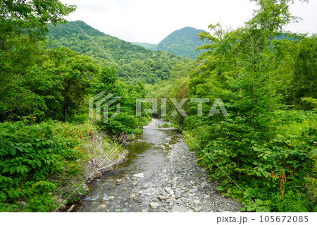 千呂露川の支流を見る（ミシマ沢・ふくしまばし） 105672085