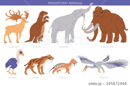 Set of vector illustrations of prehistoric period animals and birds with titles, isolated on white background 105672998