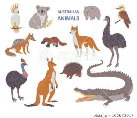 Set of various Australian animals flat style, vector illustration Set of various Australian animals flat style, vector illustration 105673017
