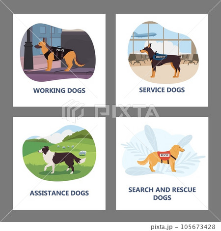 Assistance rescue and service dogs banners and badges set vector isolated. Assistance rescue and service dogs banners and badges set vector isolated. 105673428