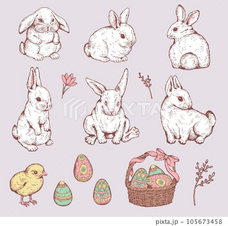 Hand drawn Easter holidays elements - rabbit, eggs and chick, sketch vector illustration isolated. 105673458