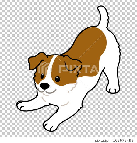 簡單可愛的傑克羅素梗犬的插圖，邀請您玩主線 105673493