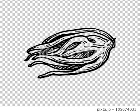 Mace spice ink sketch. Mace spice ink sketch. 105674033