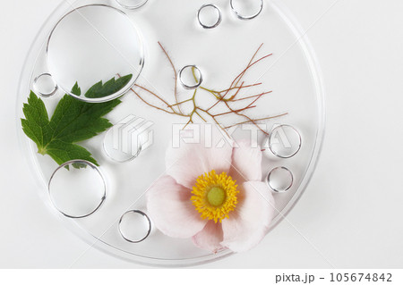Chemical laboratory research. Abstract cosmetic laboratory. Glass model of molecules. Chemical laboratory research. Abstract cosmetic laboratory. Glass model of molecules. 105674842