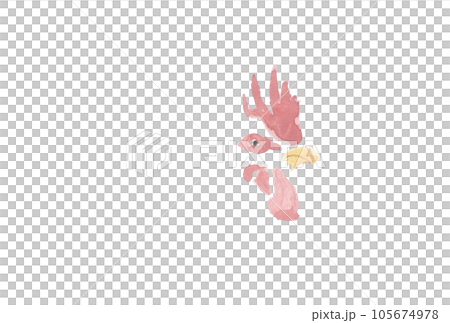 Chicken face only 105674978