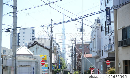 スカイツリーと住宅街 スカイツリーと住宅街 105675346