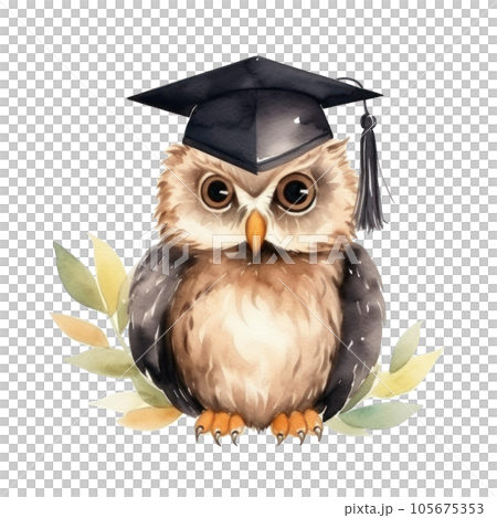 Cute watercolor owl in graduarion cap isolated Cute watercolor owl in graduarion cap isolated 105675353
