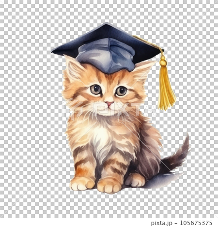 Cute watercolor cat in graduarion cap isolated Cute watercolor cat in graduarion cap isolated 105675375