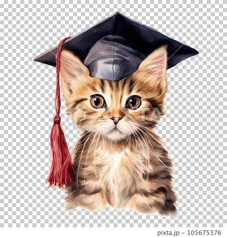 Cute watercolor cat in graduarion cap isolated Cute watercolor cat in graduarion cap isolated 105675376