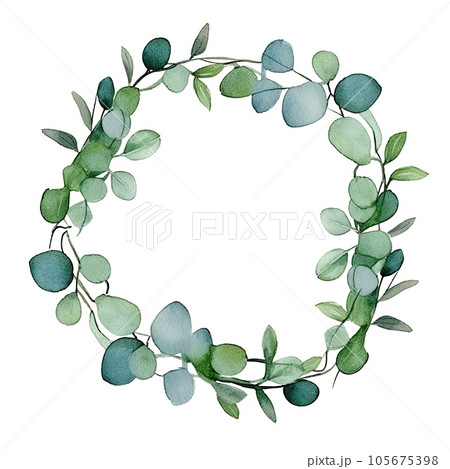 Watercolor eucalyptus leaves frame isolated 105675398