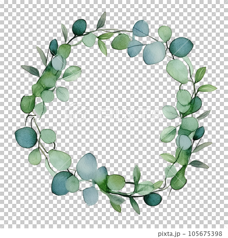 Watercolor eucalyptus leaves frame isolated 105675398
