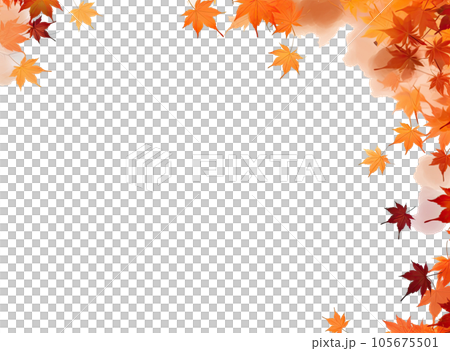 Autumn leaves isolated 105675501