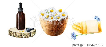 Watercolor bottle of serum with pipette on a wooden saw cut, wooden mortar with chamomile and soap isolated on white background. Beauty products and botany elements, cosmetology and medicine. For 105675557