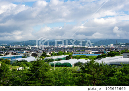 最上川ふるさと総合公園 虹の丘から望む寒河江市街 105675666