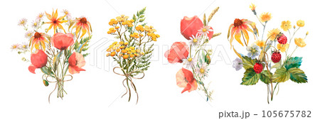 Set Watercolor bouquet of yellow echinacea and poppy flowers, Chamomile, and field herbs. Template for invitations, postcards Set Watercolor bouquet of yellow echinacea and poppy flowers, Chamomile, and field herbs. Template for invitations, postcards 105675782
