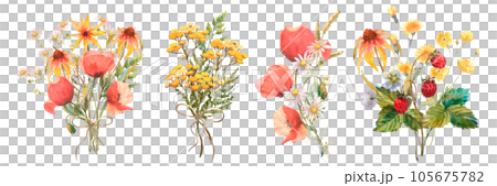 Set Watercolor bouquet of yellow echinacea and poppy flowers, Chamomile, and field herbs. Template for invitations, postcards Set Watercolor bouquet of yellow echinacea and poppy flowers, Chamomile, and field herbs. Template for invitations, postcards 105675782