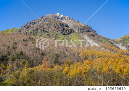 【上高地　秋素材】紅葉する焼岳 105676630
