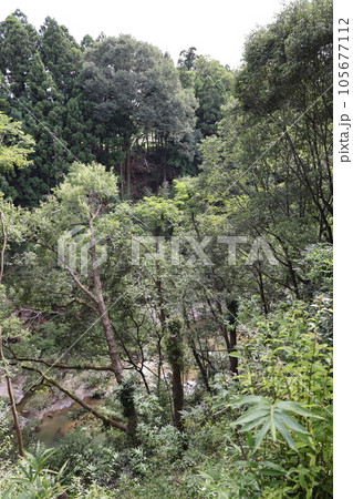 長篠城址　鳥居強右衛門伝説　城から磔の地を眺める 105677112