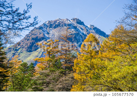 【秋の上高地】紅葉の始まった焼岳と落葉松 105677570