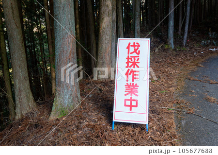 登山道にある注意の看板 登山道にある注意の看板 105677688