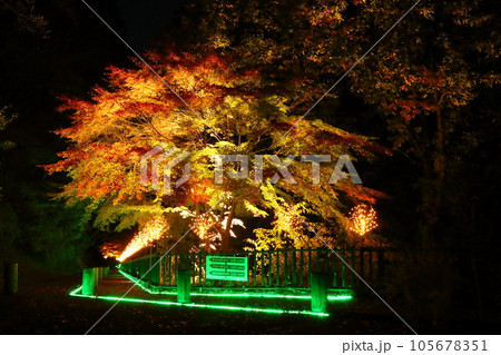 城峯公園 城峯公園 105678351