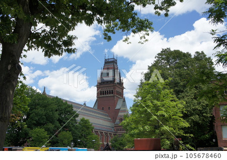 ハーバード大学レトロなキャンパス風景 ハーバード大学レトロなキャンパス風景 105678460