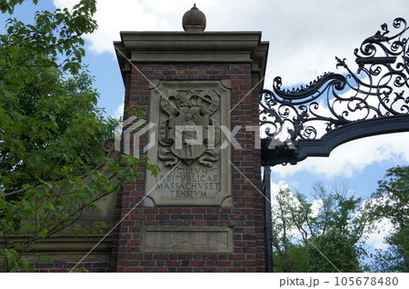 ハーバード大学レトロなキャンパス風景 ハーバード大学レトロなキャンパス風景 105678480
