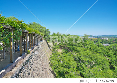 【津山城跡(鶴山公園)からの風景】 岡山県津山市山下 105678749